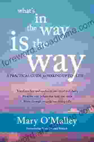 What S In The Way Is The Way: A Practical Guide For Waking Up To Life