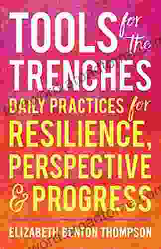 Tools for the Trenches : Daily Practices for Resilience Perspective Progress