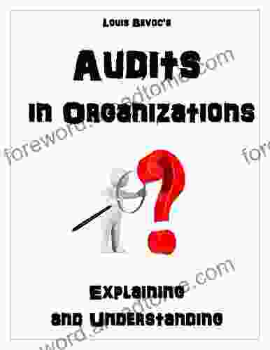 Audits In Organizations: Explaining And Understanding