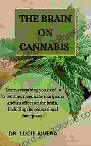 THE BRAIN ON CANNABIS : Learn Everything You Need To Know About Medicine Marijuana And It S Effect On The Brain Including The Recreational Marijuana