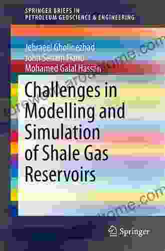 Challenges In Modelling And Simulation Of Shale Gas Reservoirs (SpringerBriefs In Petroleum Geoscience Engineering)