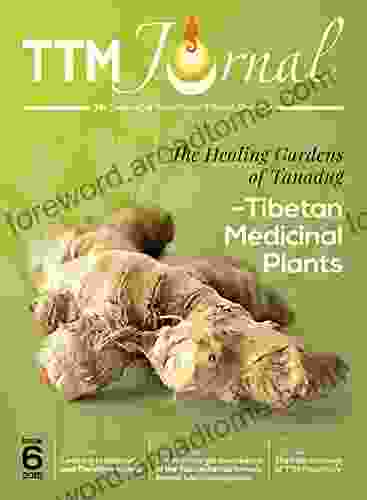 TTM Journal #6: The Journal Of Traditional Tibetan Medicine